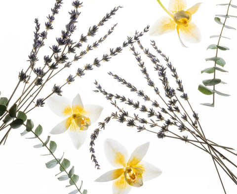 Pure Lavender Hand Sanitizer